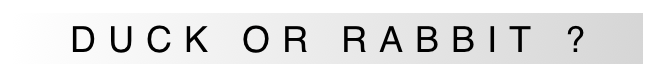 DUCK OR RABBIT ?