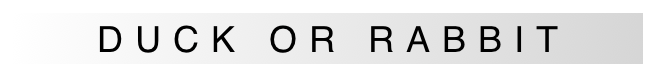 DUCK OR RABBIT